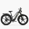 Fiido Titan Robust Cargo