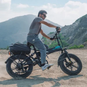 Fiido M1 Pro Fat Tire Electric Bike - Image 6