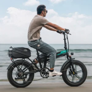 Fiido M1 Pro Fat Tire Electric Bike - Image 4