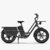 Fiido T2 Longtail Cargo E-bike