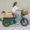 Fiido T2 Longtail Cargo E-bike - Image 3