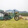 Fiido T2 Longtail Cargo E-bike - Image 4
