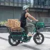 Fiido T2 Longtail Cargo E-bike - Image 7