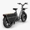 Fiido T2 Longtail Cargo E-bike - Image 11